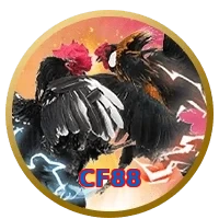 CF88